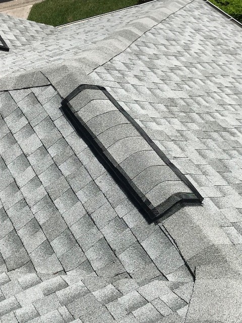 bat repair roof rdige