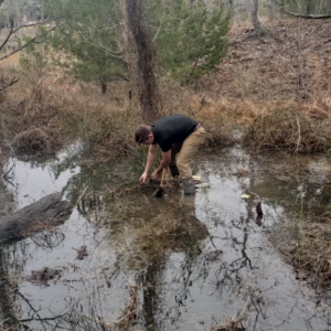 beaver dam removal college station