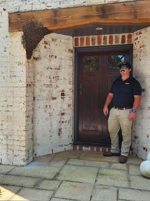 Bobby next to bee's nest
