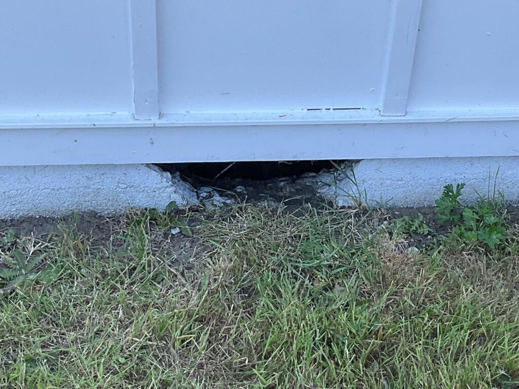 Foundation hole pest entrance
