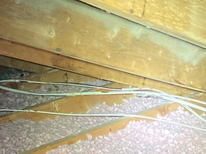 Rodent Awareness Week 2021 | Rodent Damage, Frayed Wires and House Fires