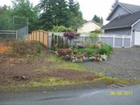 deer-problem-in-university-place_jpg_200_150