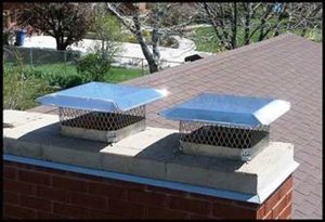 Chimney Caps to prevent squirrels from entering