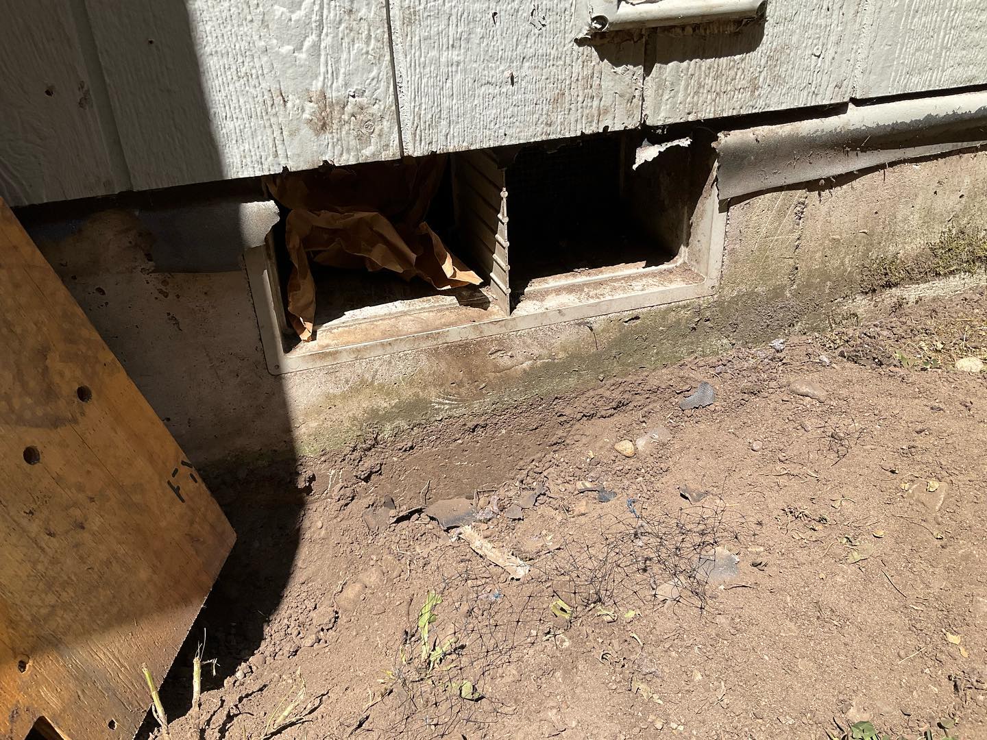 How to Get Rid of Animals from Getting Under Your Home | Critter Control
