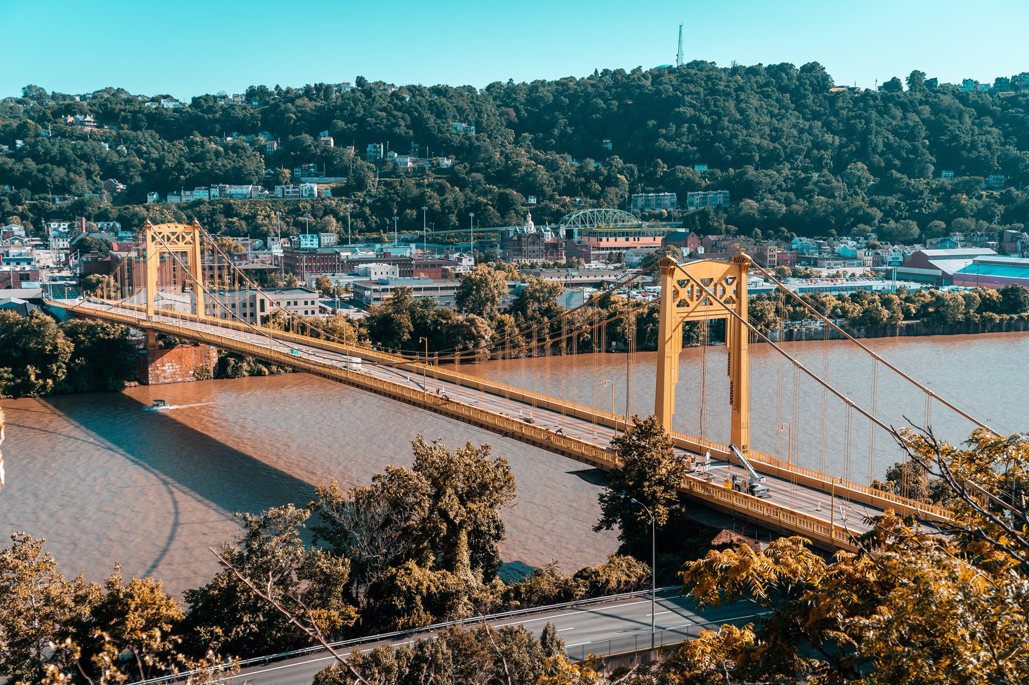 Critter Control of Pittsburgh NW