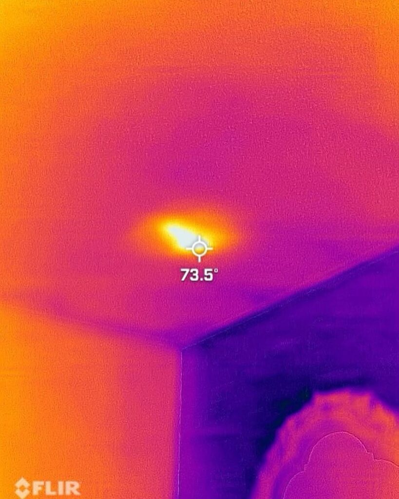 heat sensor for raccoon den inspection