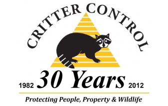 30th Anniversary Logo