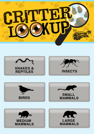 Critter Lookup