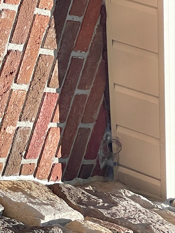 bat exclusion