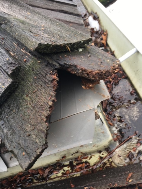 minor repairs prevent major damage