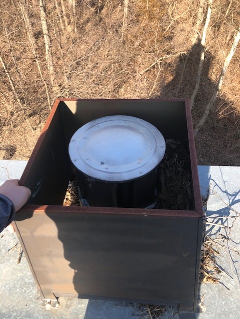 Chimney Vent with Squirrel Nest