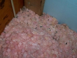 mouse droppings in attic