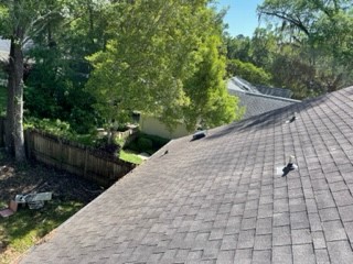 image of Roof Inspection for Signs of Raccoon