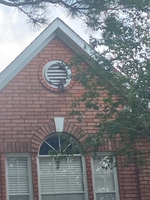 squirrel entering gable vent