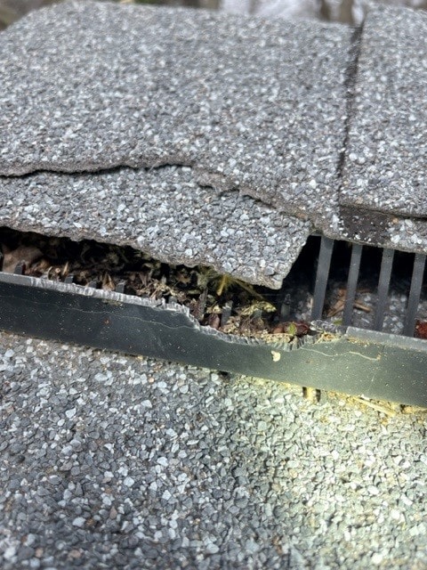squirrel damage to ridge vent