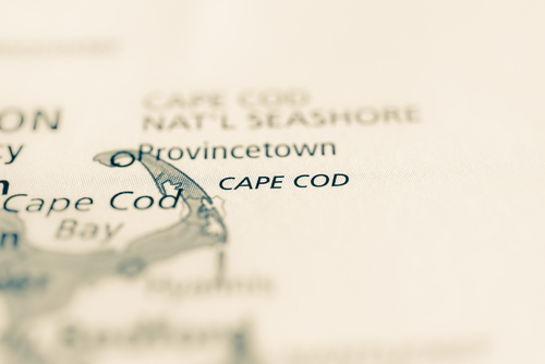 Cape Cod Ma Wildlife Control Bat Squirrel Rac Removal Critter Control Of Cape Cod