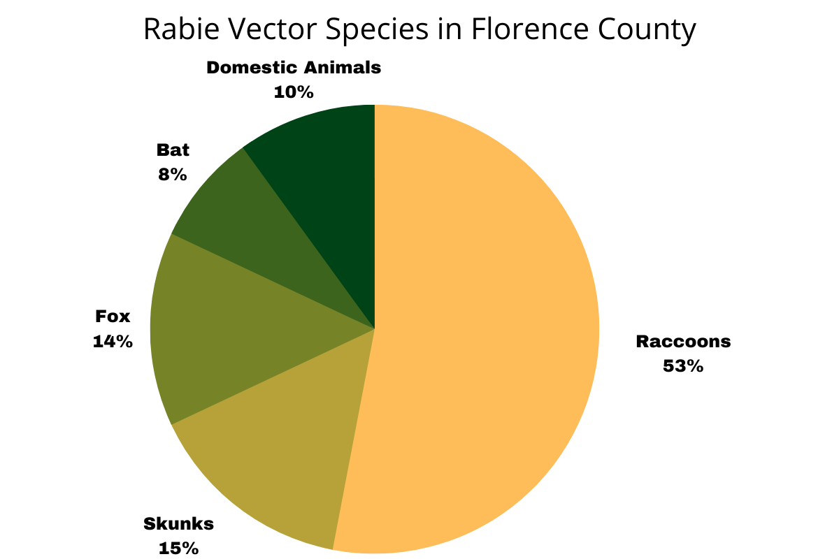 Rabies Vector Species in Florence County