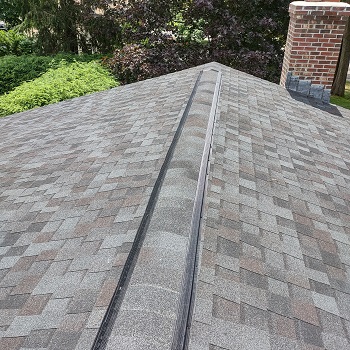 ridge vent exclusion