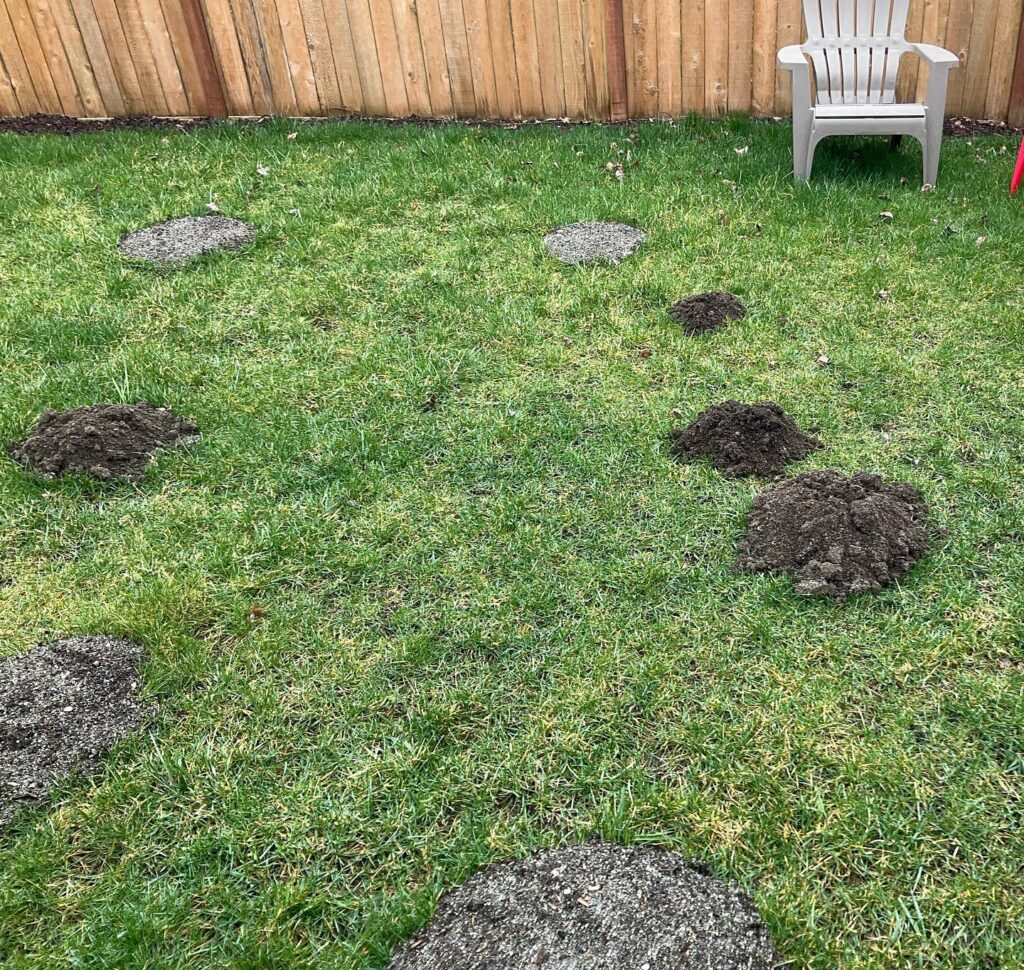mole hills grass