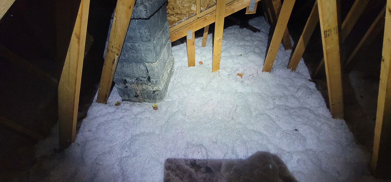mouse trails insulation attic nh