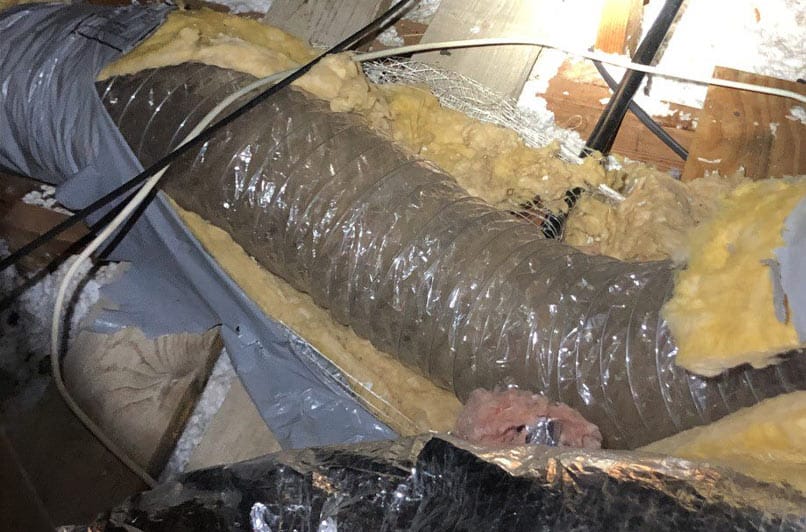 destroyed duct work from raccoon