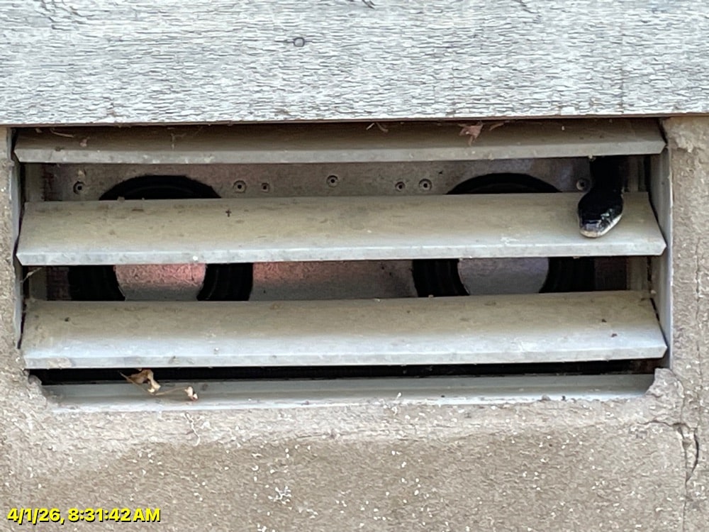 Snake Control in Nashville