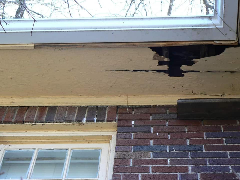 soffit damage squirrels