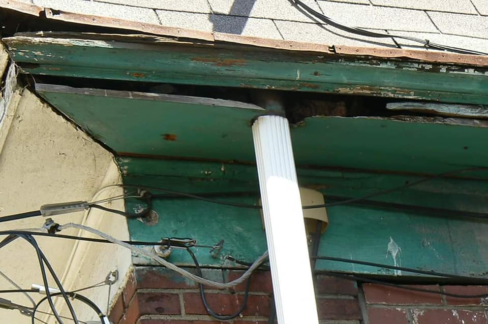 squirrel damage soffit