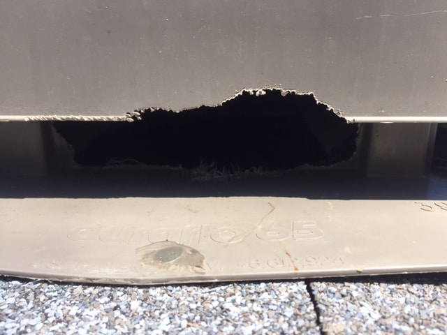 squirrel damage roof vent close up