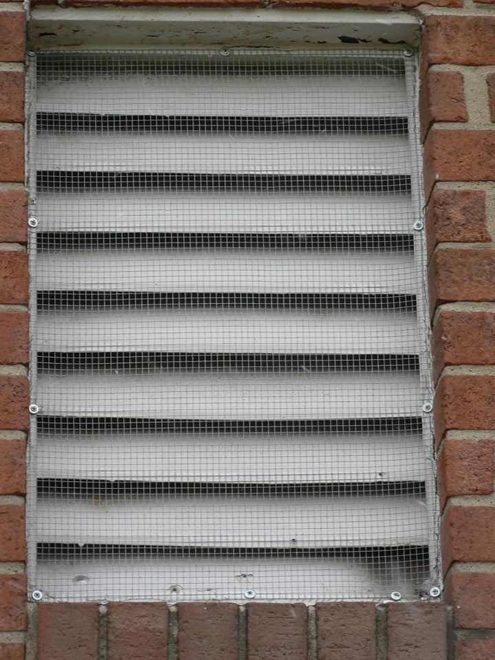 squirrel exclusion on vents
