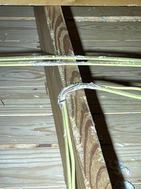 gnawed frayed wire from squirrel