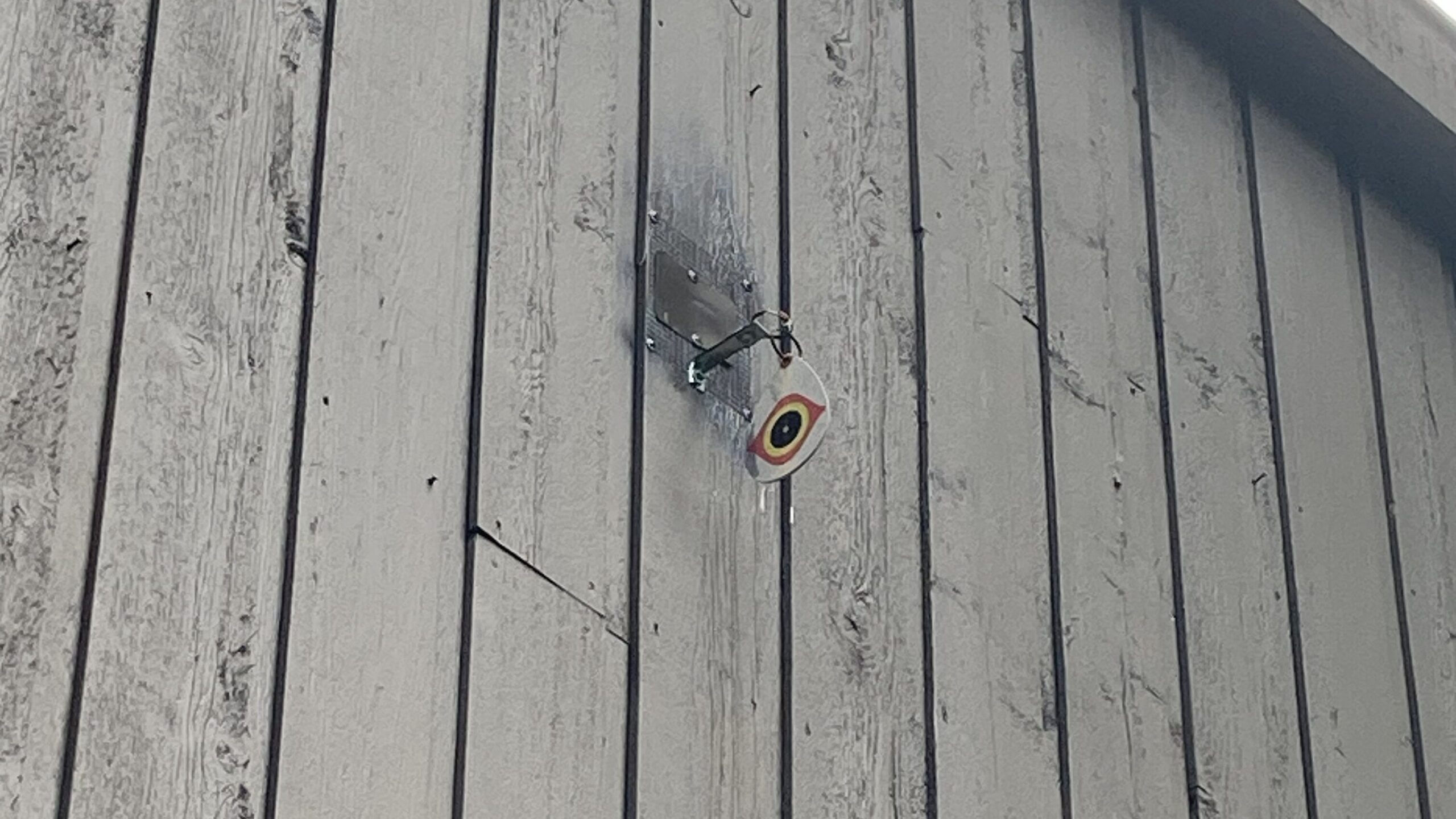 woodpecker deterrent in east cobb